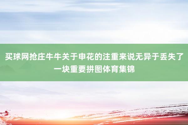 买球网抢庄牛牛关于申花的注重来说无异于丢失了一块重要拼图体育集锦